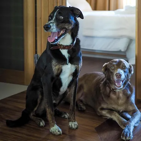 14 Calcada De Santiago * Вила-ду-Конди