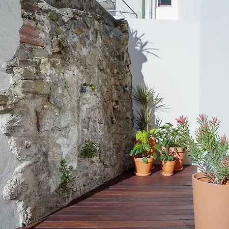 Apartman 14 Calcada De Santiago