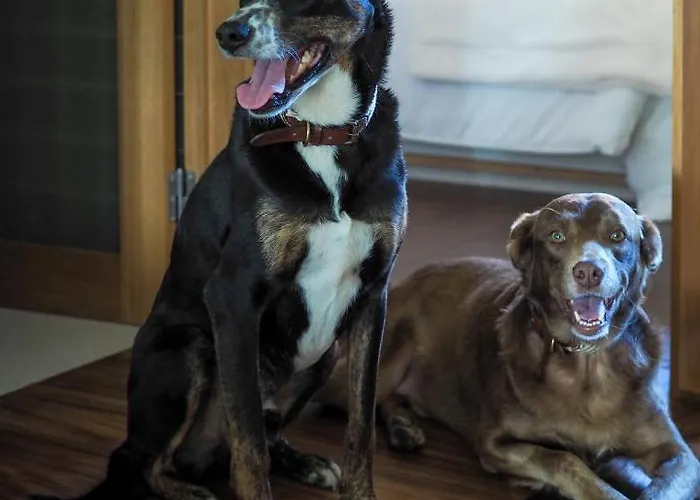 14 Calcada De Santiago * 빌다도콘데